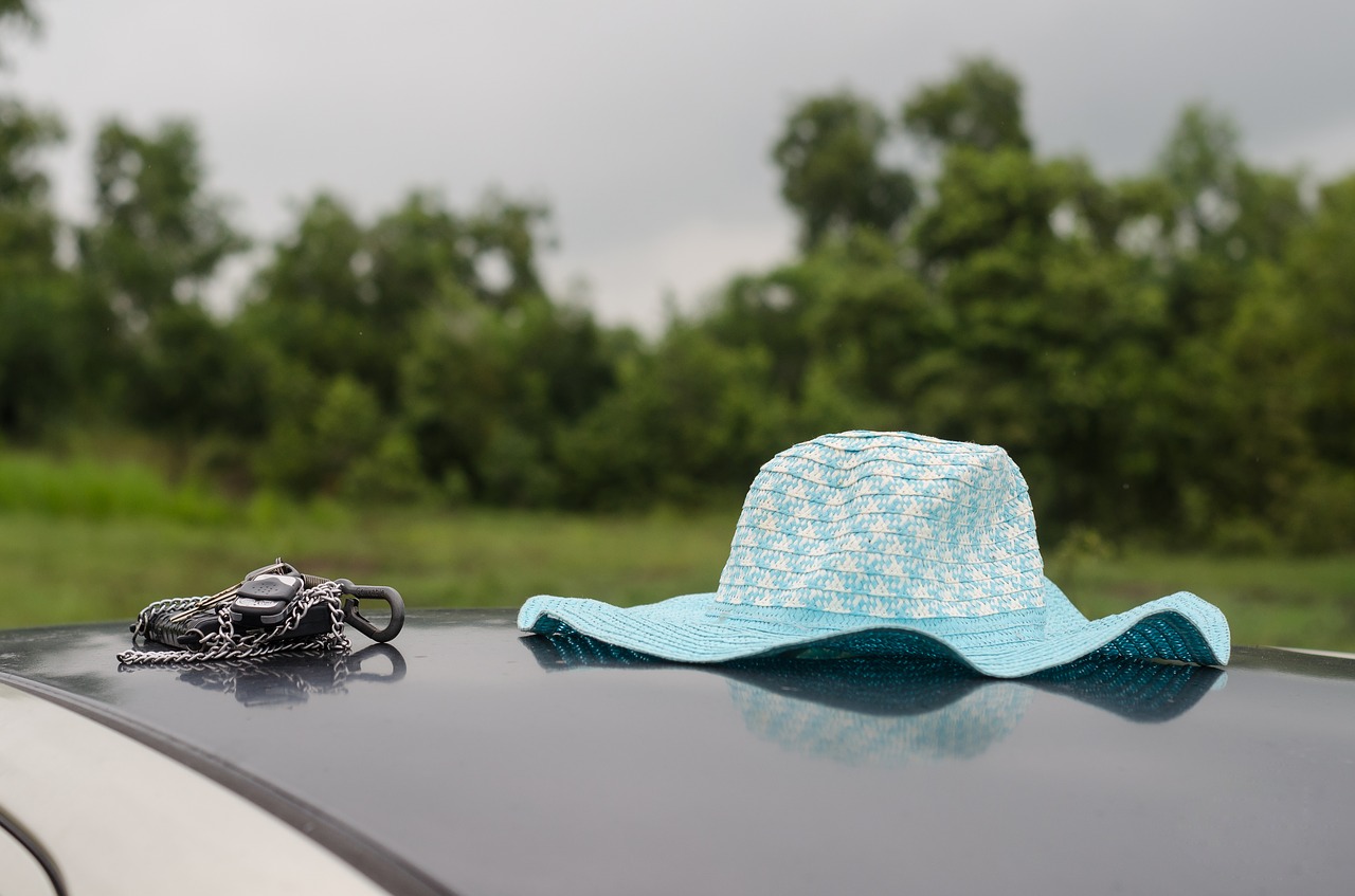 hat car nature free photo