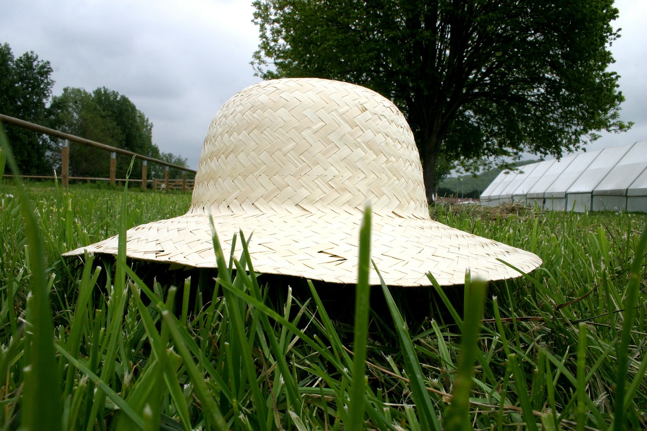 hat straw perspective free photo