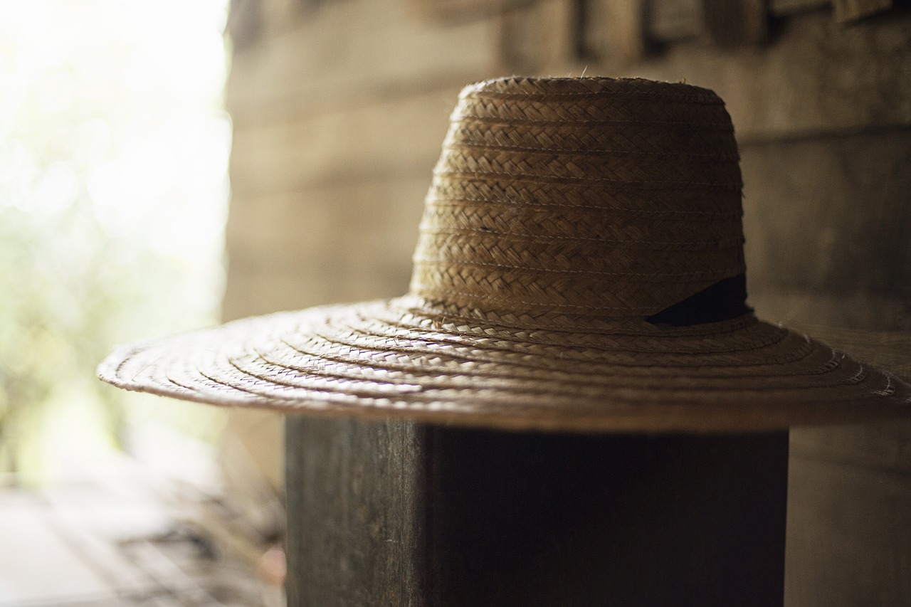 hat cap brown free photo