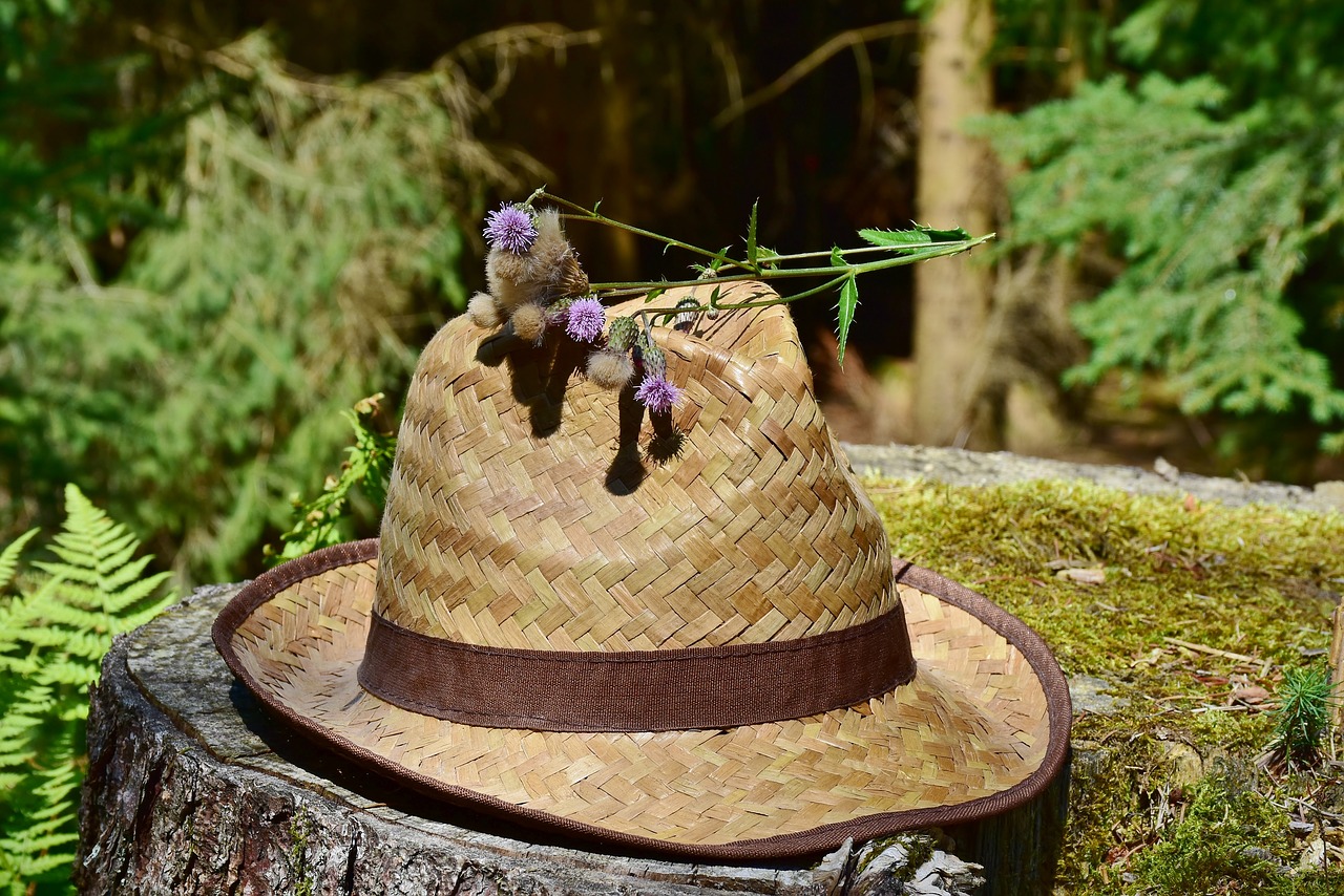 hat  straw hat  sun protection free photo