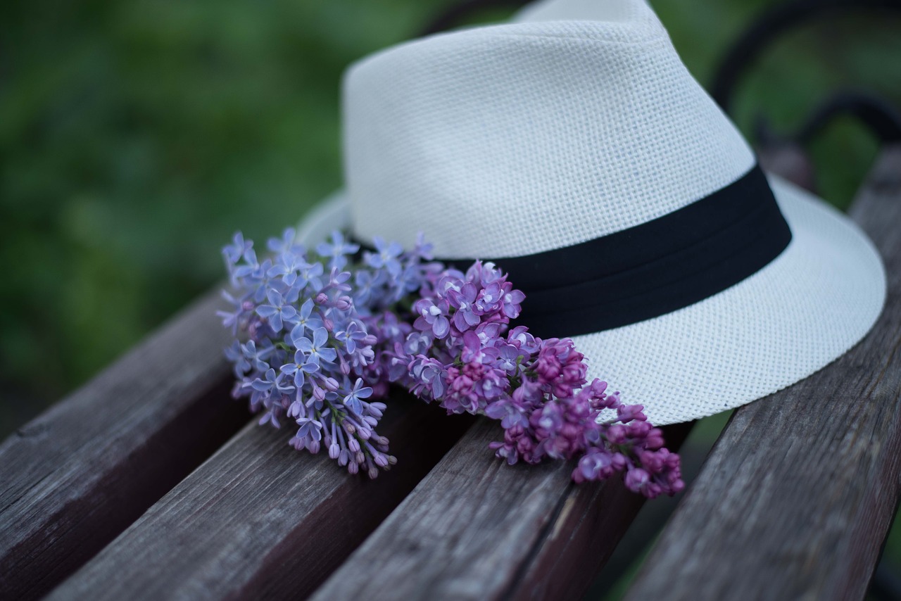 hat  lilac  bench free photo