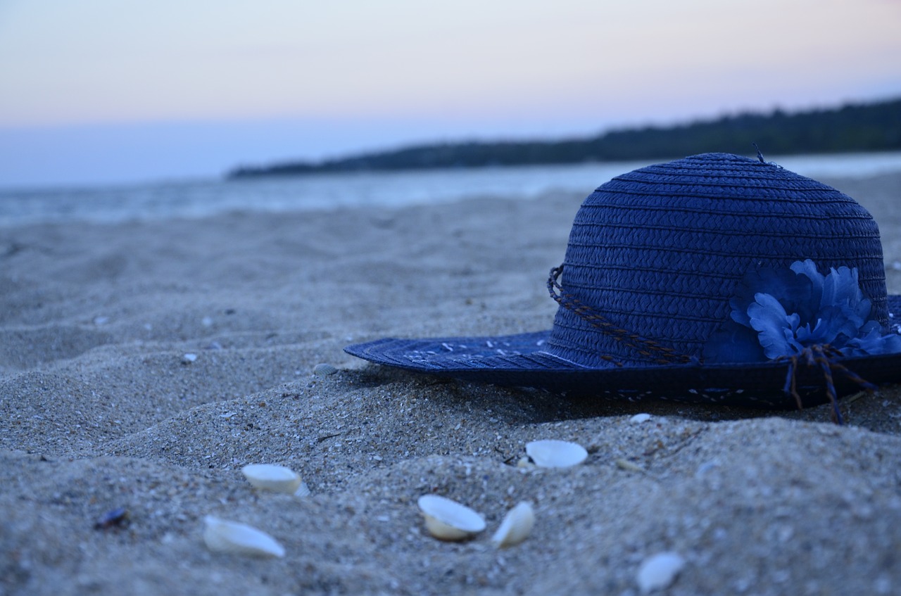 hat  sea  shell free photo