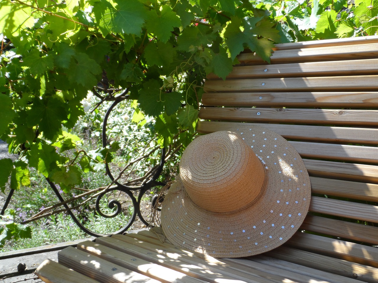 hat bench summer free photo