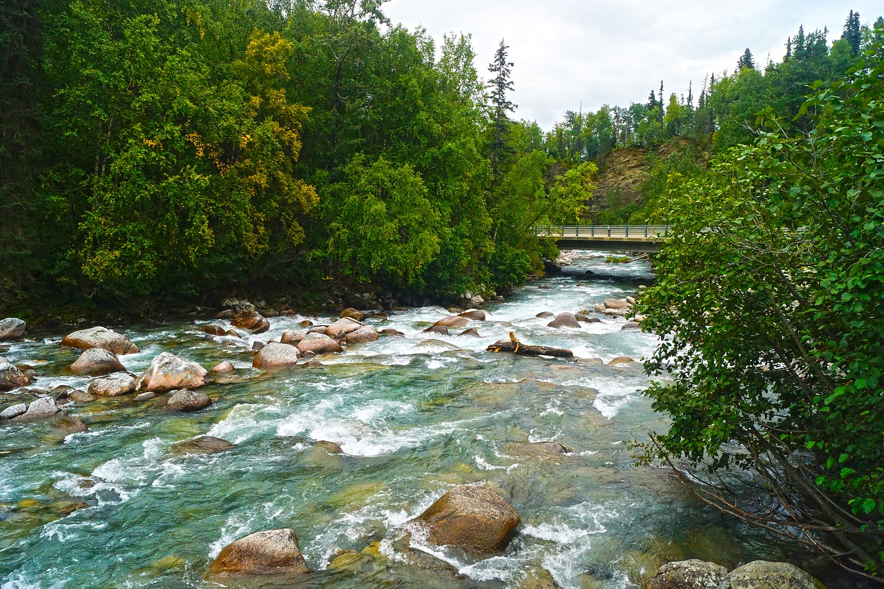 hatchers pass alaska creek free photo