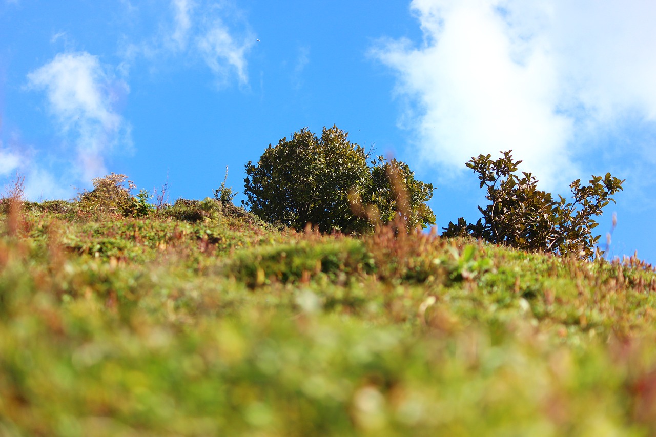 hatu peak temple free photo