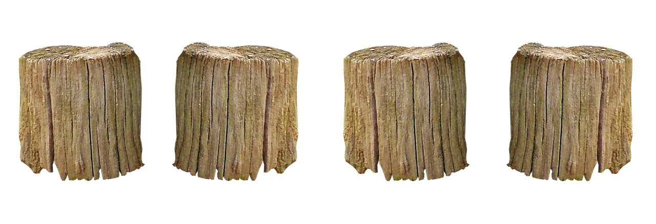 hauklötze wood wood chop free photo