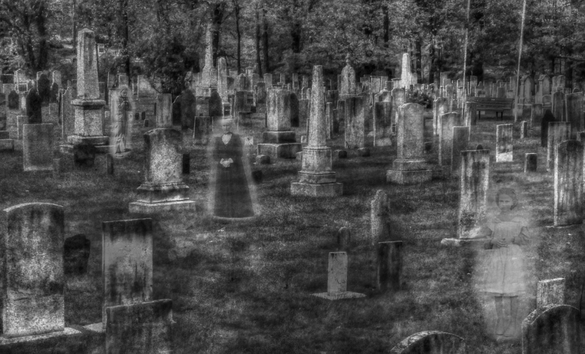 halloween cemetery ghosts free photo