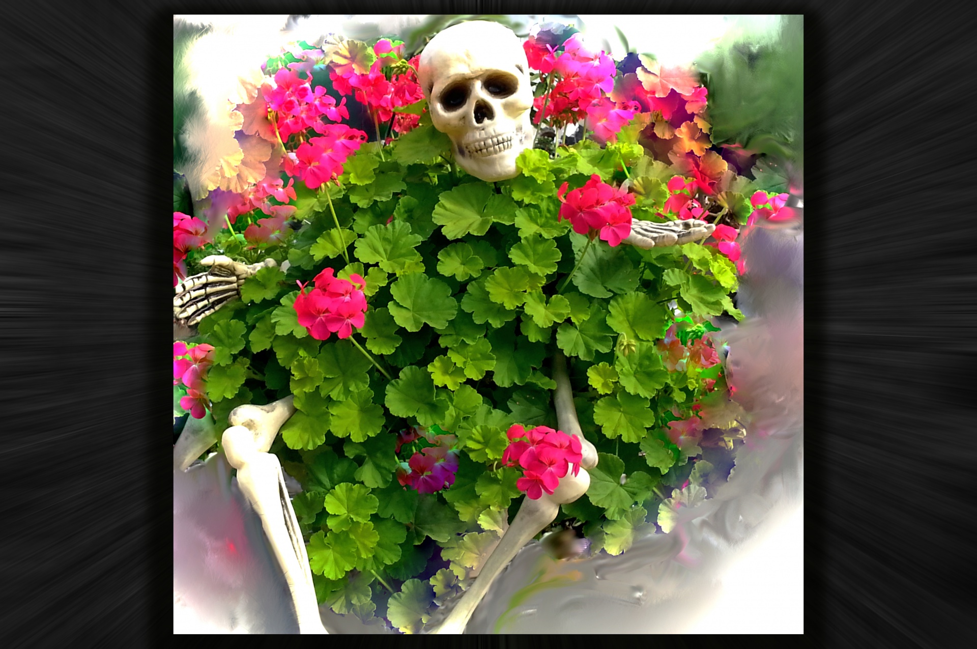 halloween skeleton bones free photo