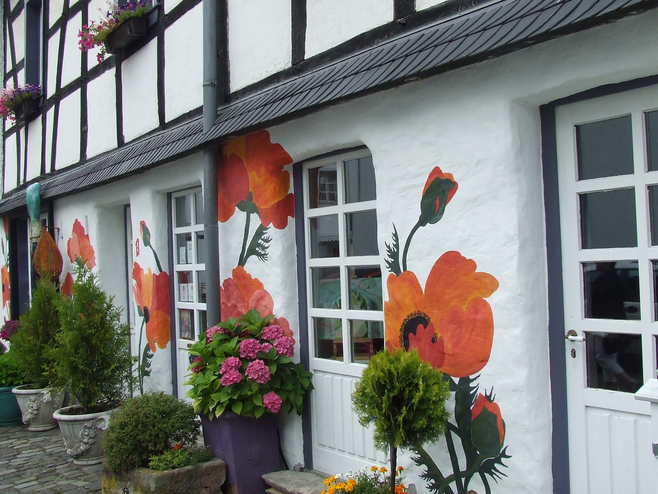 hauswand mural klatschmohn free photo