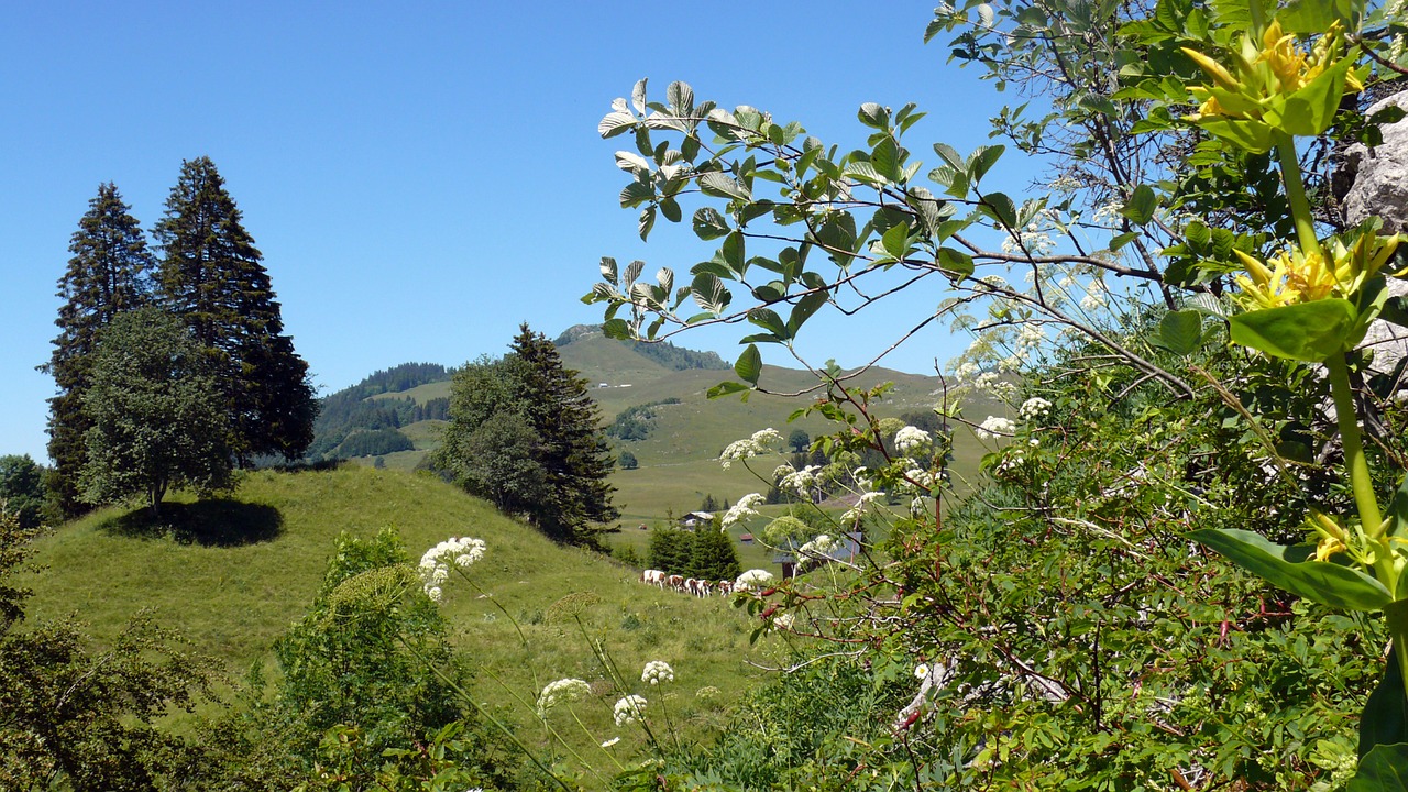 haute savoie alps nature free photo