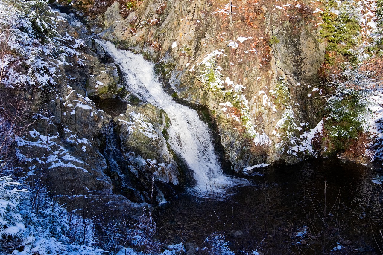 hautes fagnes  belgium  cascade free photo