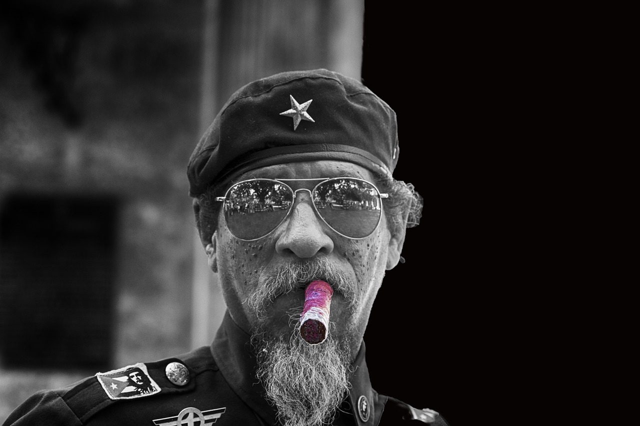 havana cigar black and white free photo