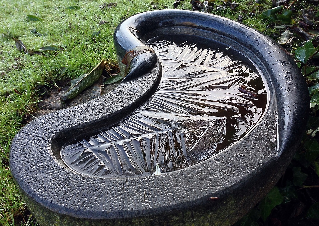 have bird bath frost free photo