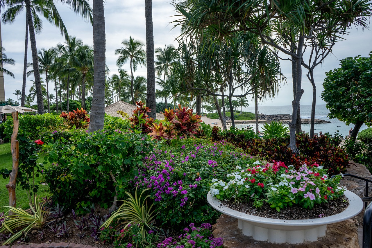 hawaii flowers garden free photo