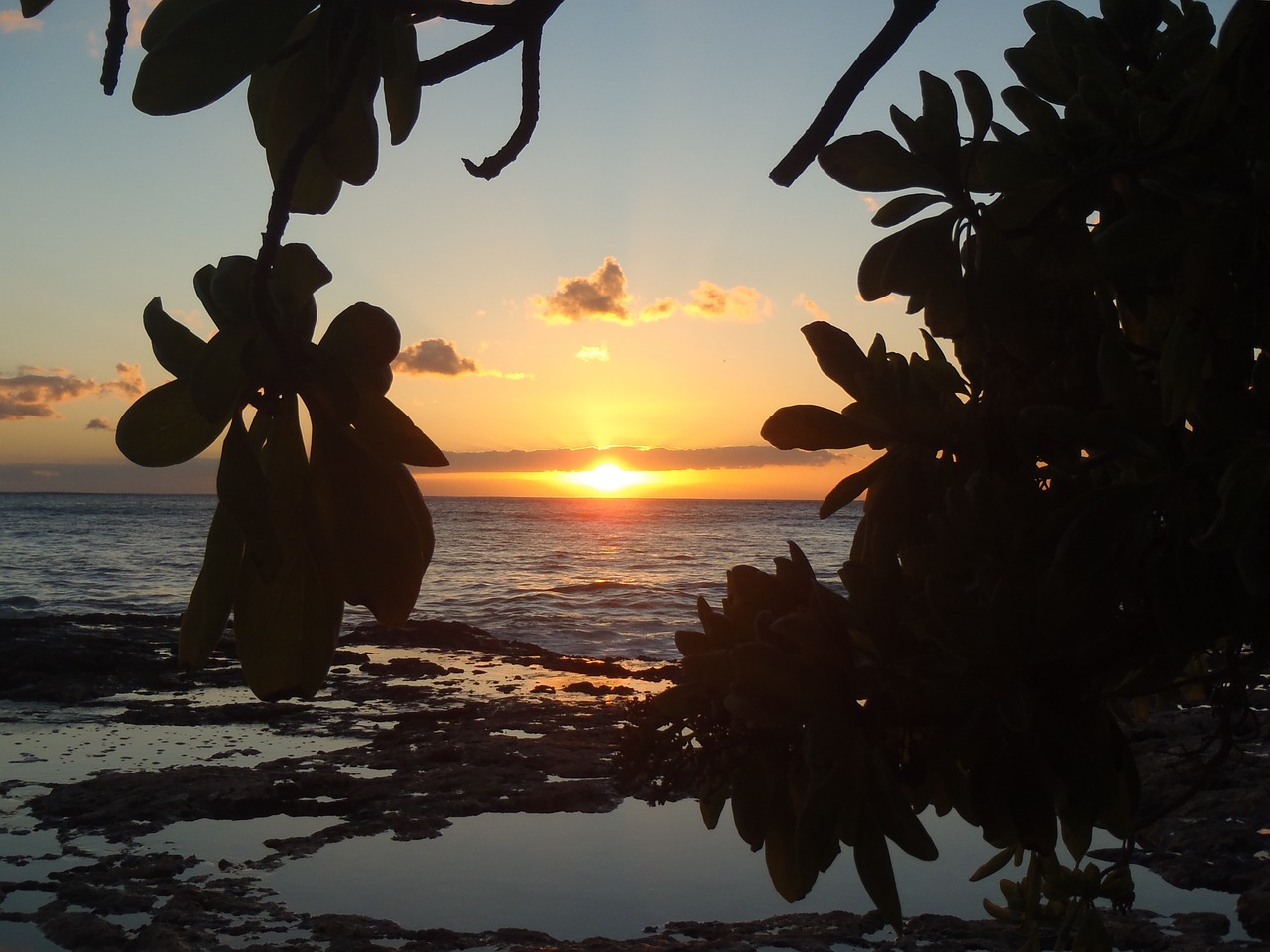 hawaii sunset beach free photo