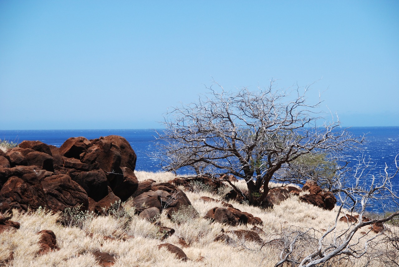 hawaii ocean travel free photo