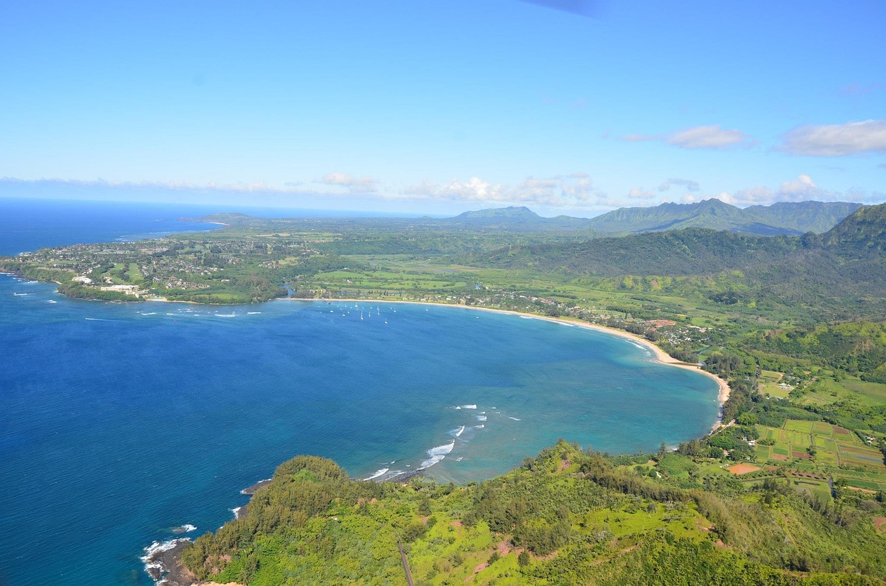 hawaii beach hanalei free photo