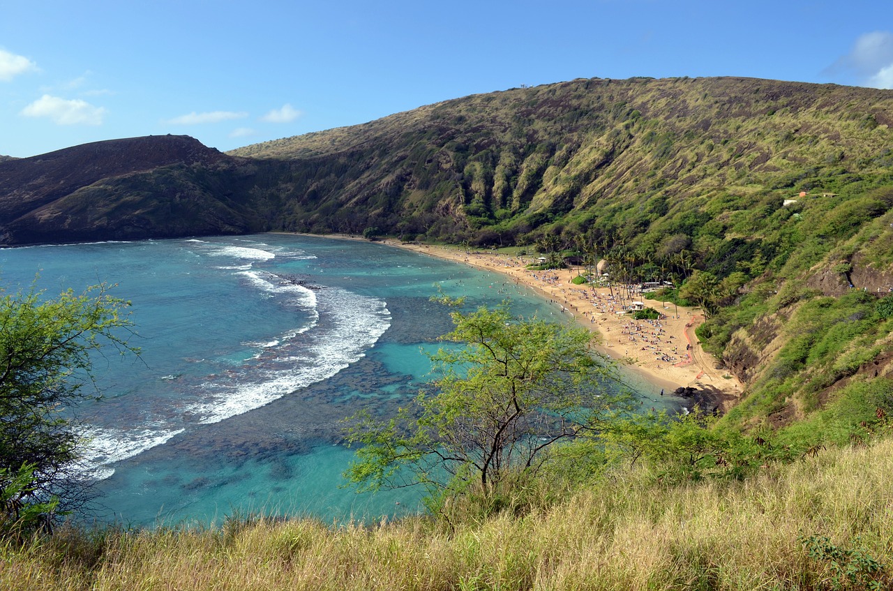 hawaii snorkeling travel free photo