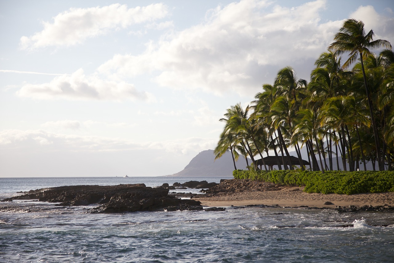 hawaii ocean beach free photo