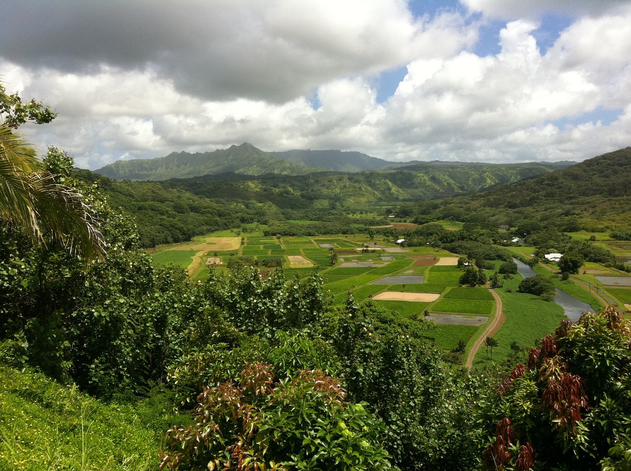 hawaii farms landscape free photo