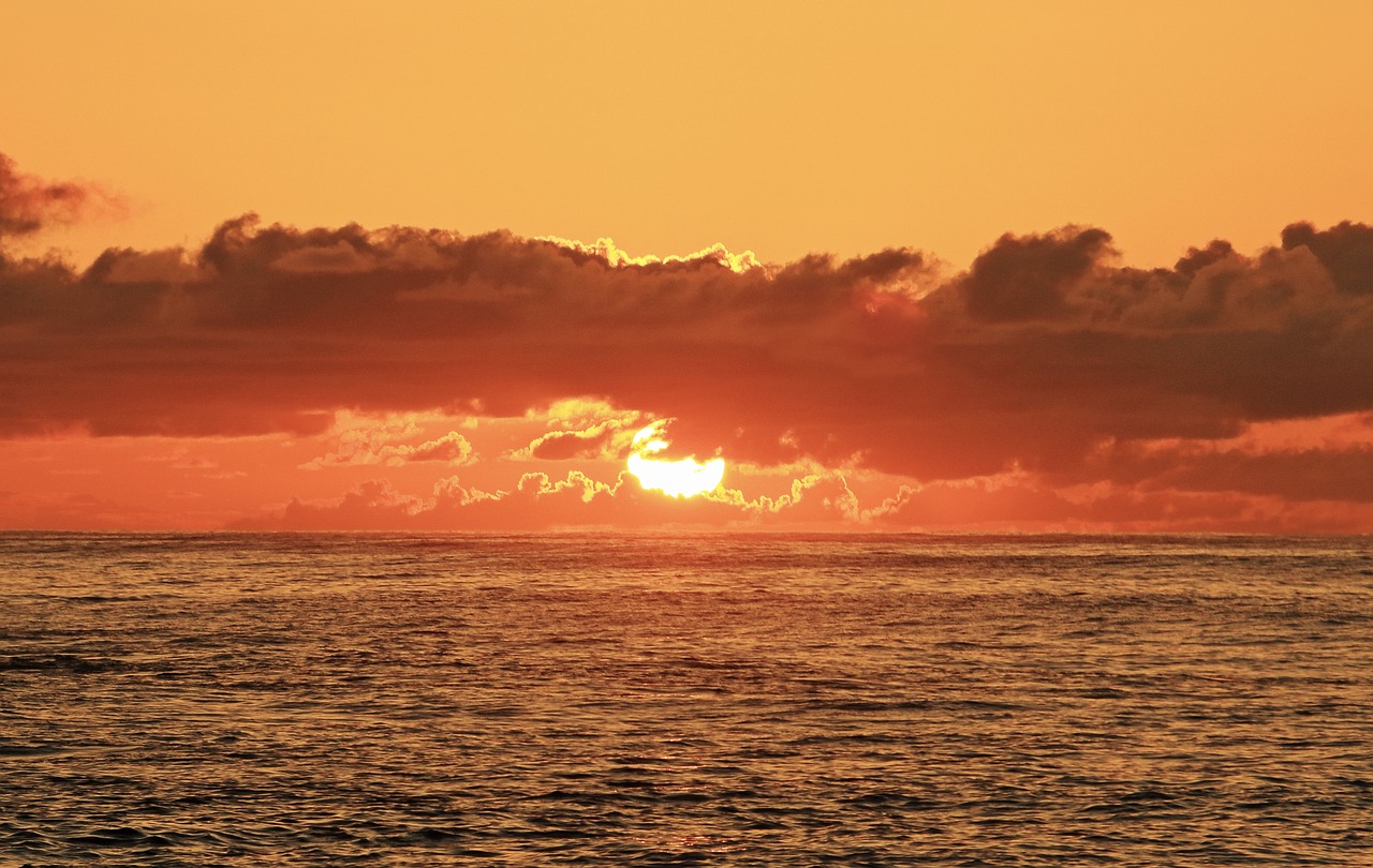 hawaii sunrise beach free photo