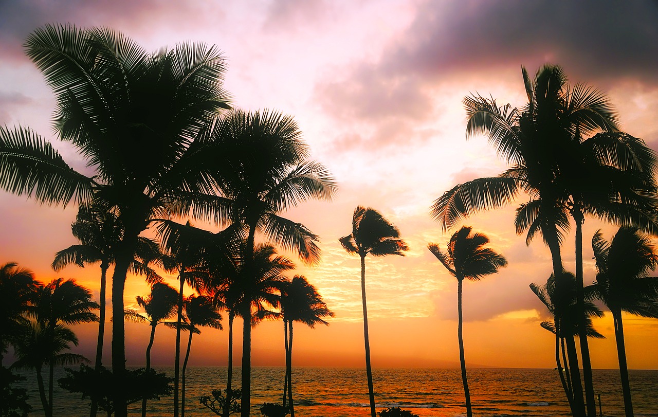 hawaii sunset dusk free photo