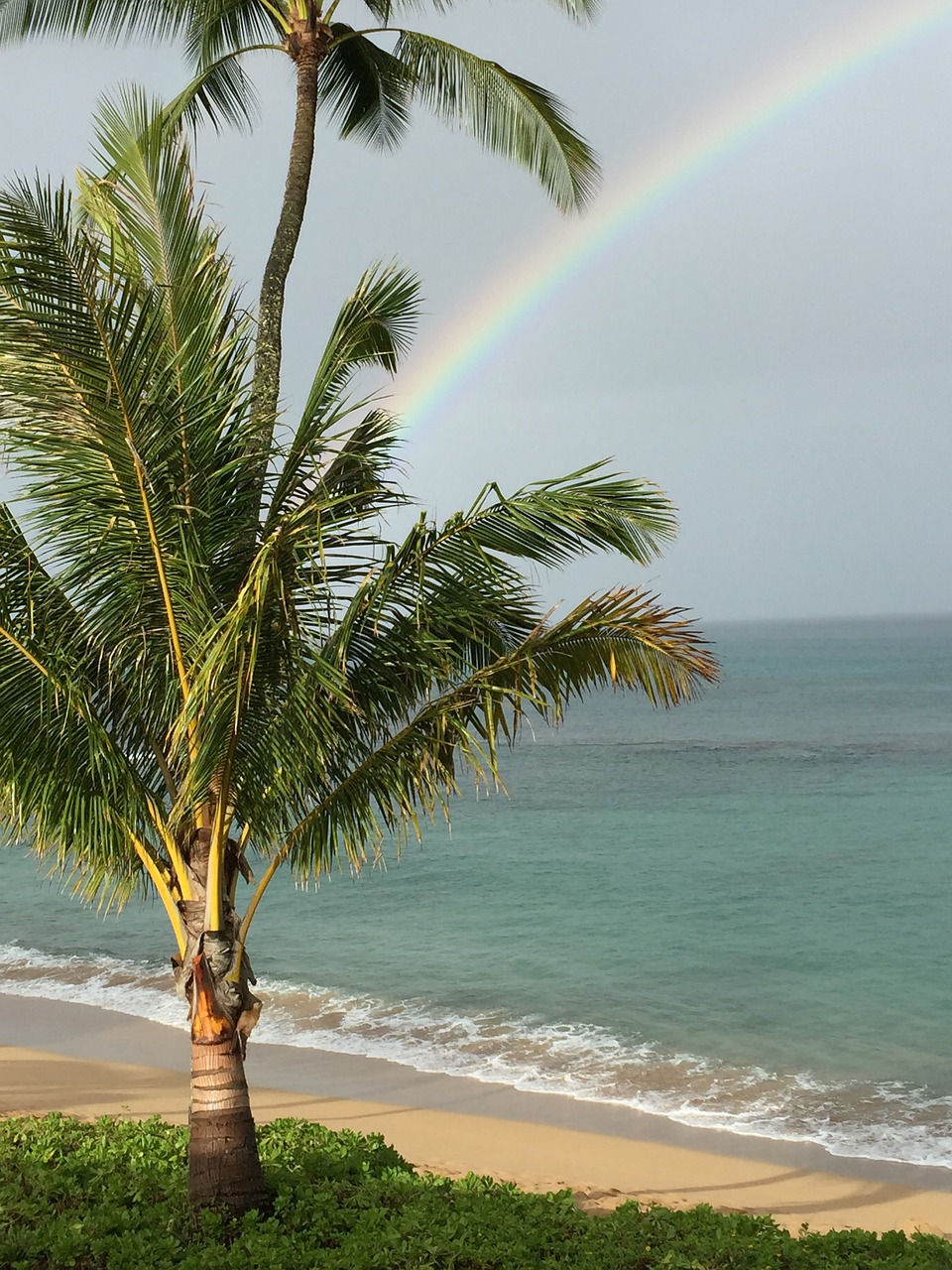 hawaii maui rainbow free photo