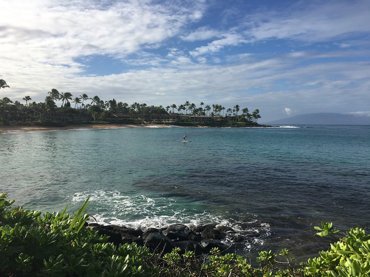 hawaii maui ocean free photo