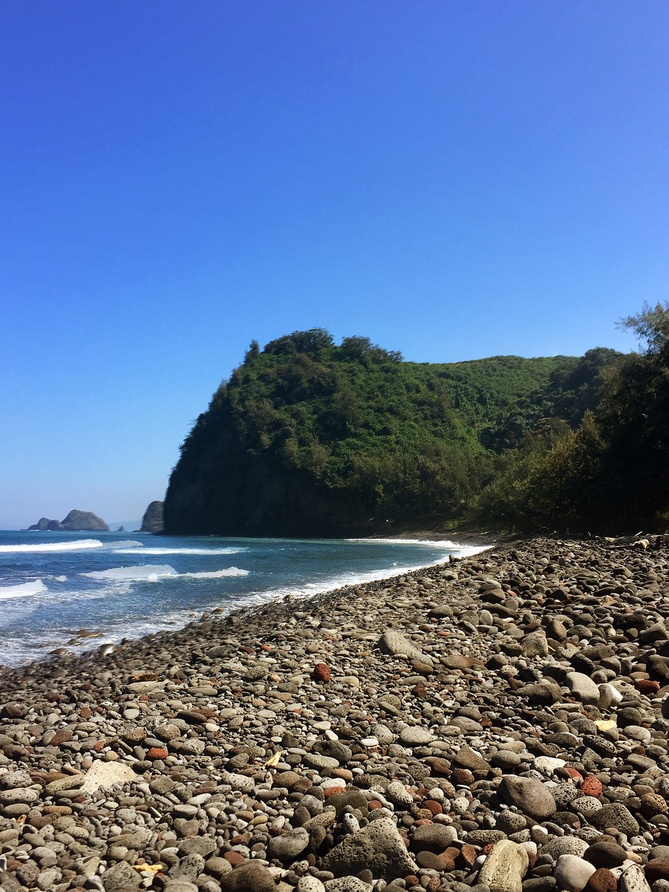 hawaii beach sea free photo