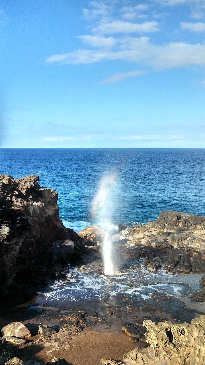 hawaii maui blow hole free photo