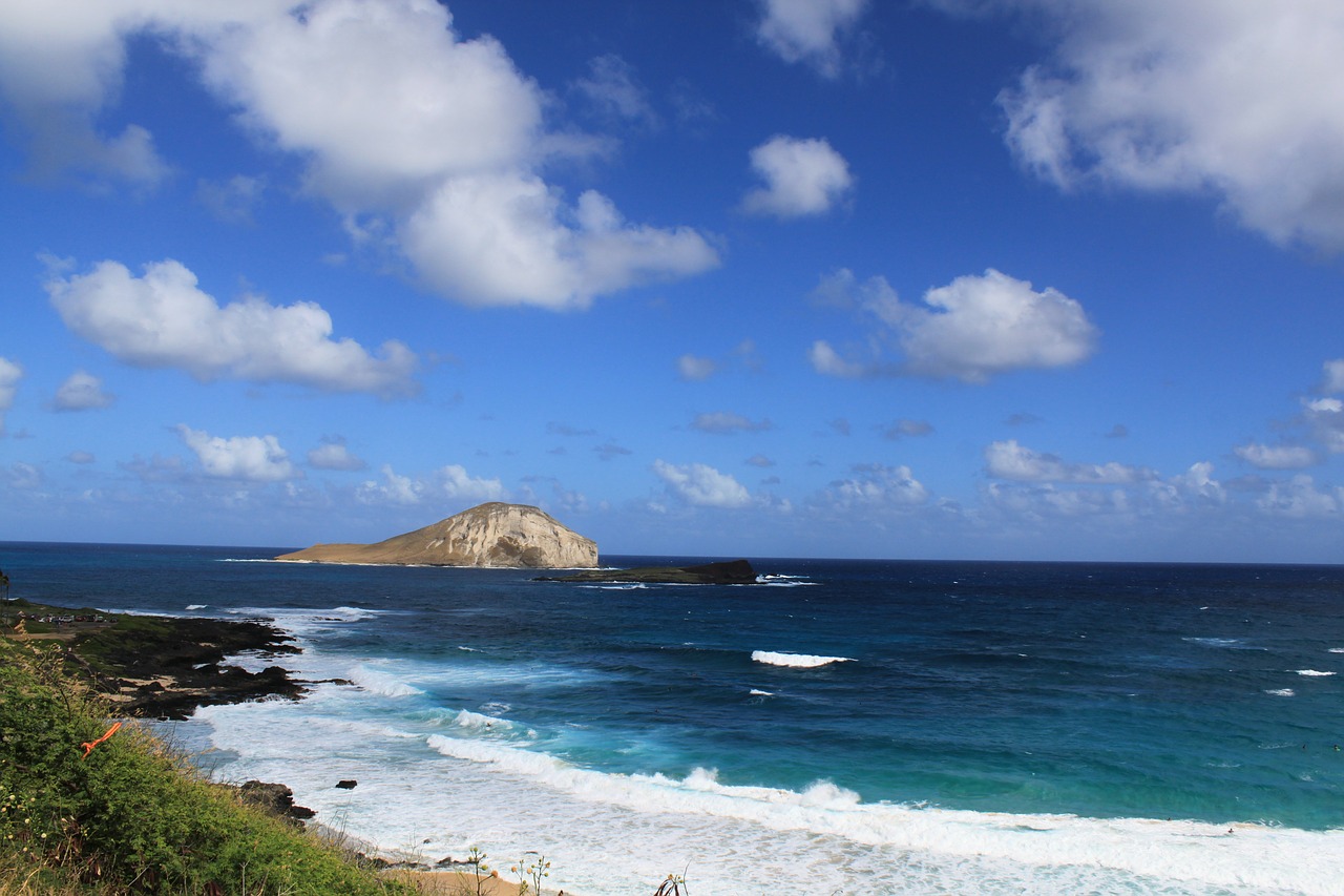 hawaii ocean sea free photo