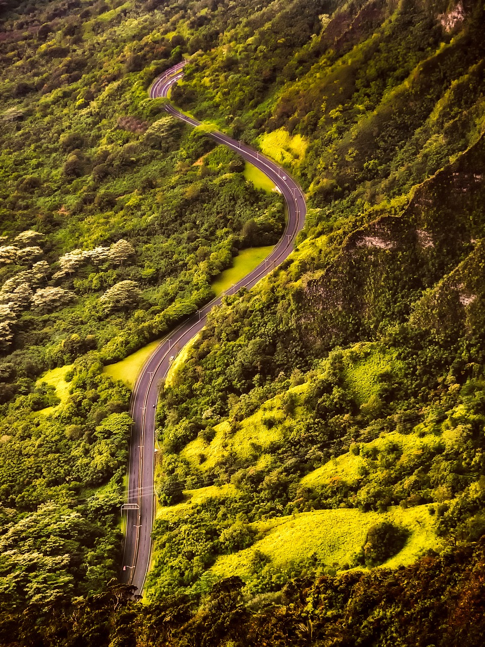 hawaii tropics road free photo