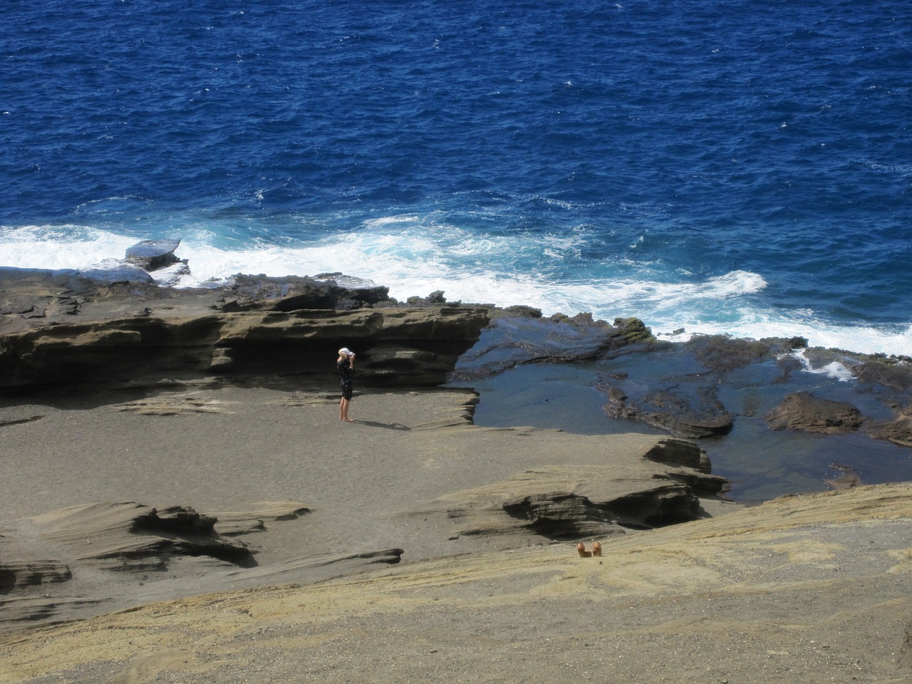 hawaii island sea free photo