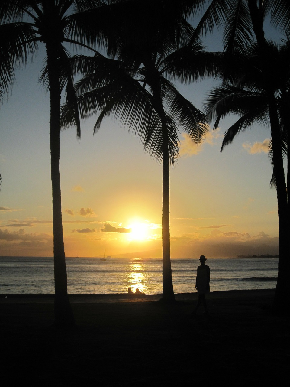 hawaii beach sea free photo