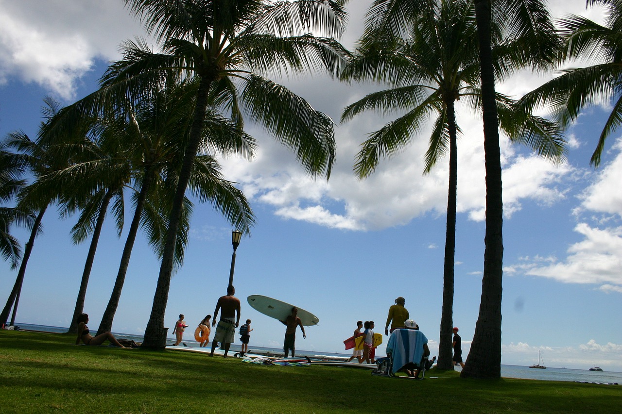 hawaii beach surf free photo