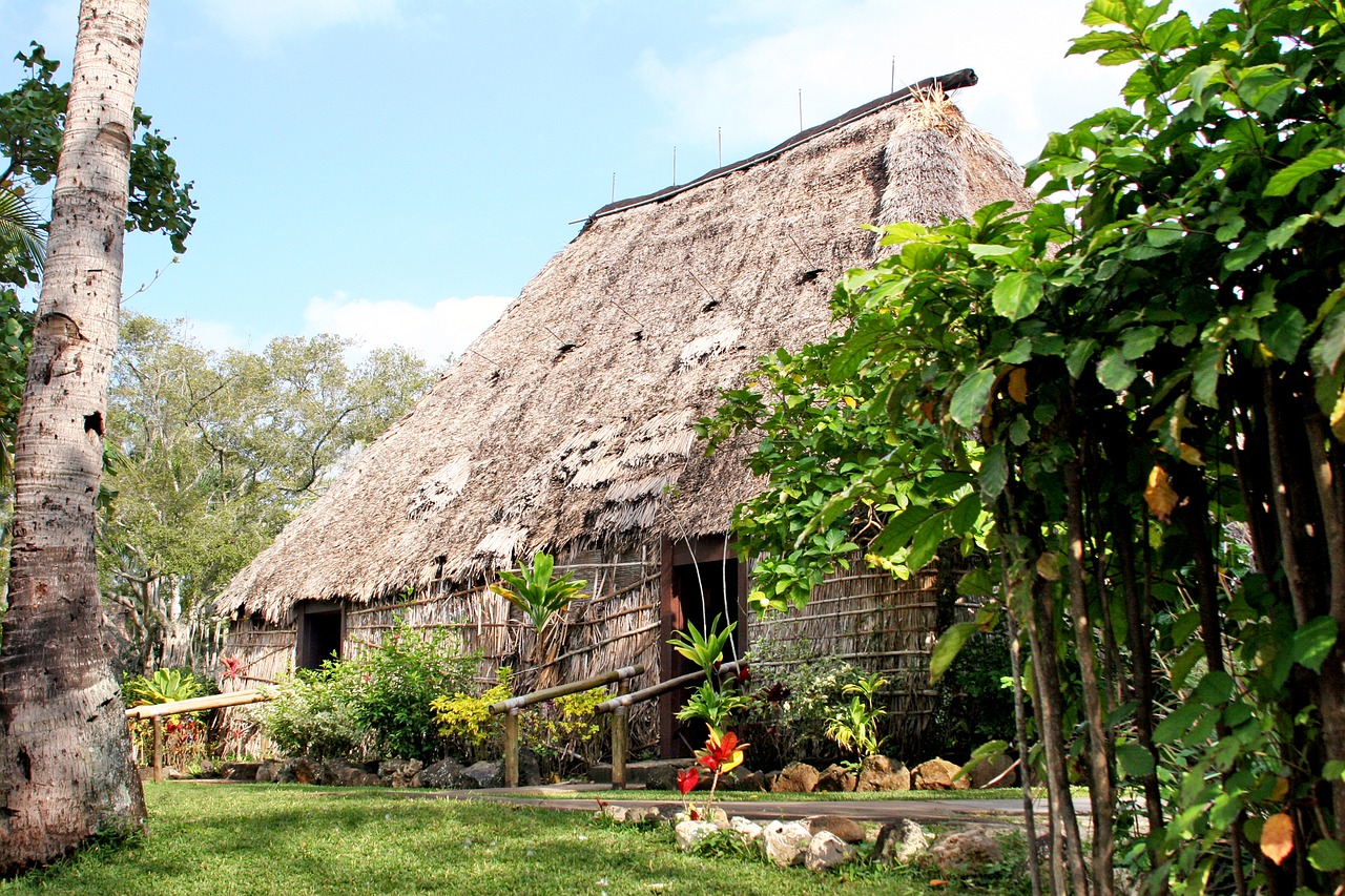 hawaii hut tropical free photo