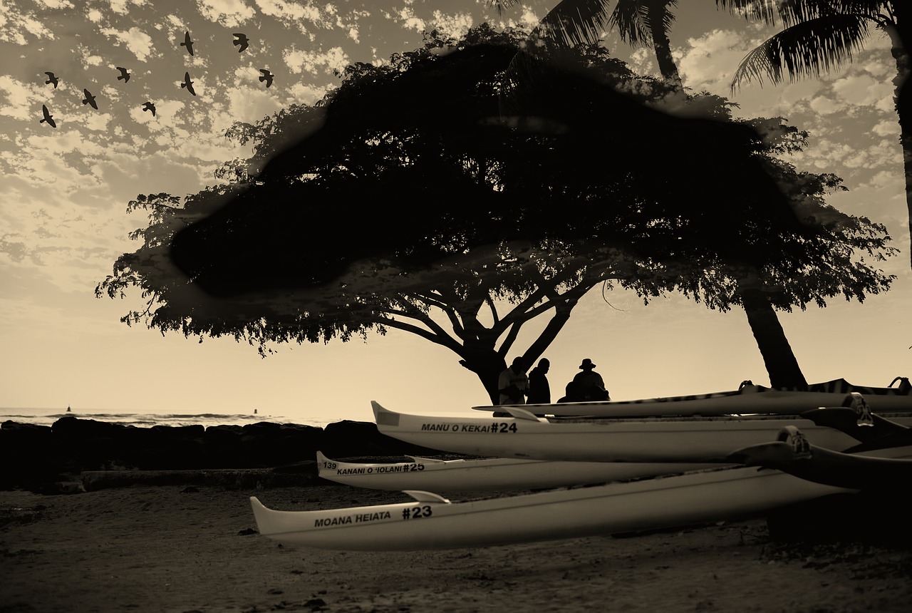 hawaii sunset dusk free photo