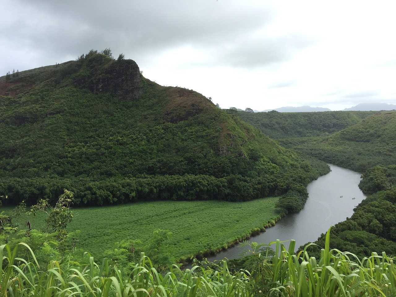 hawaii big island green free photo