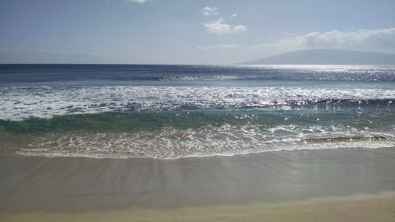 hawaii beach ocean free photo