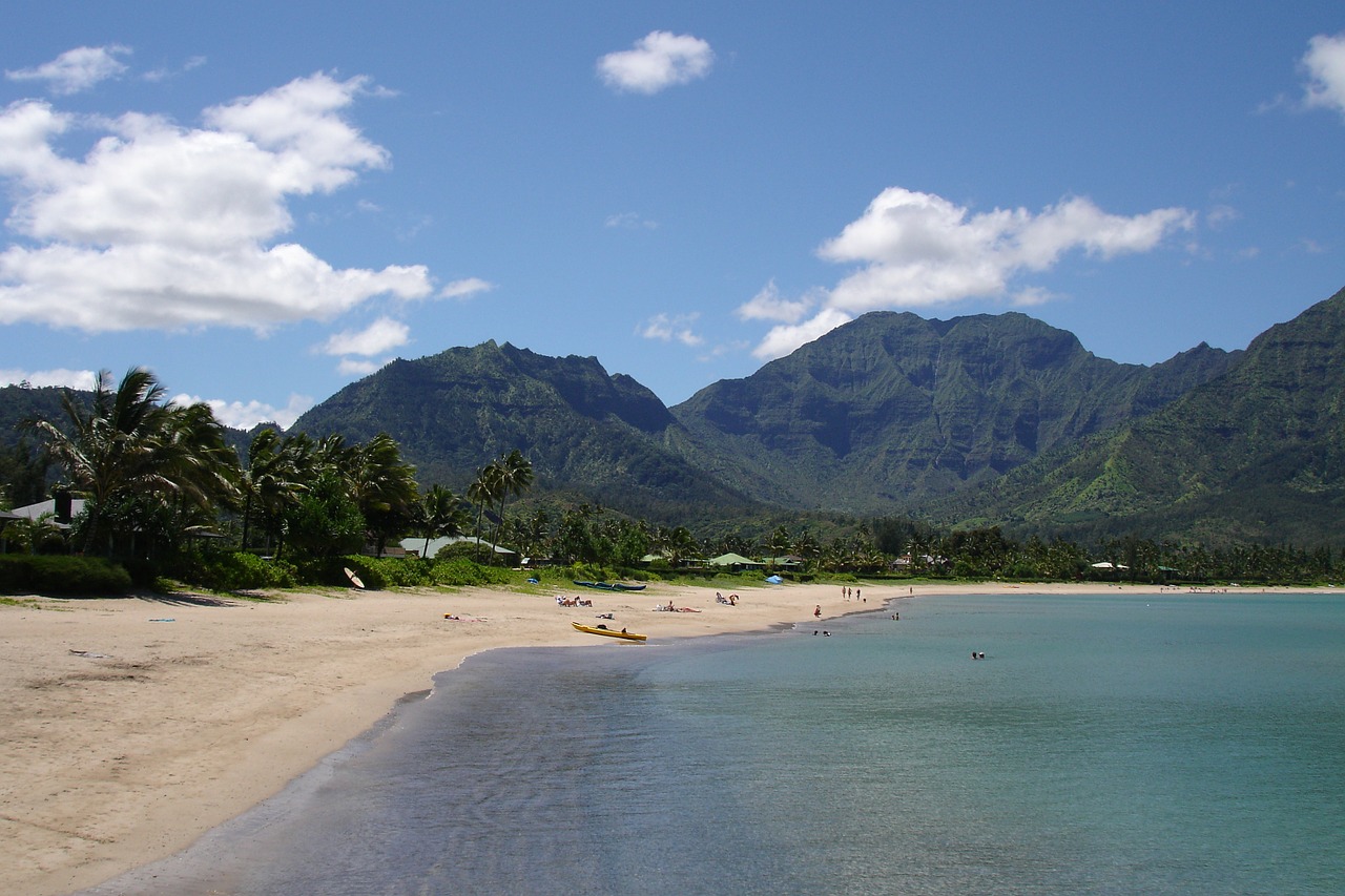 hawaii beach paradise free photo