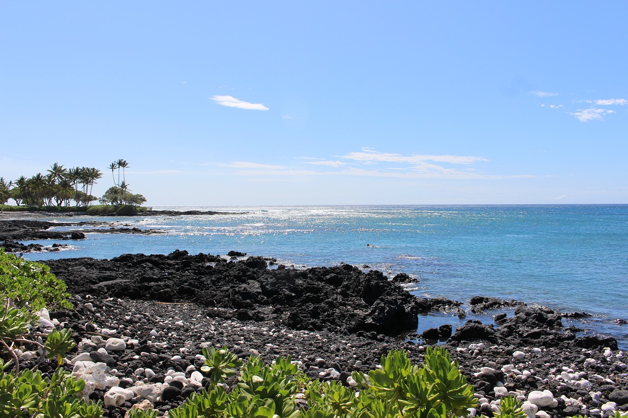 hawaii beach ocean free photo