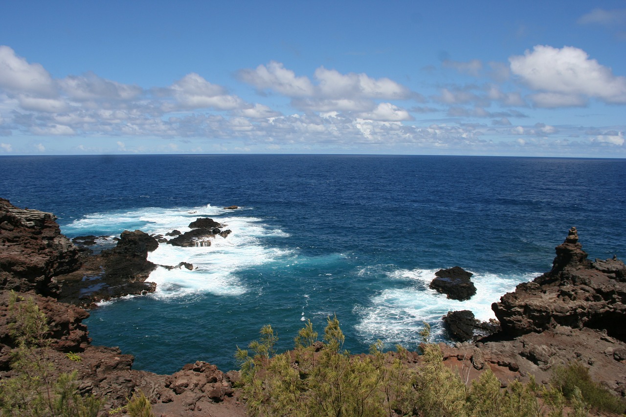 hawaii maui tropic free photo