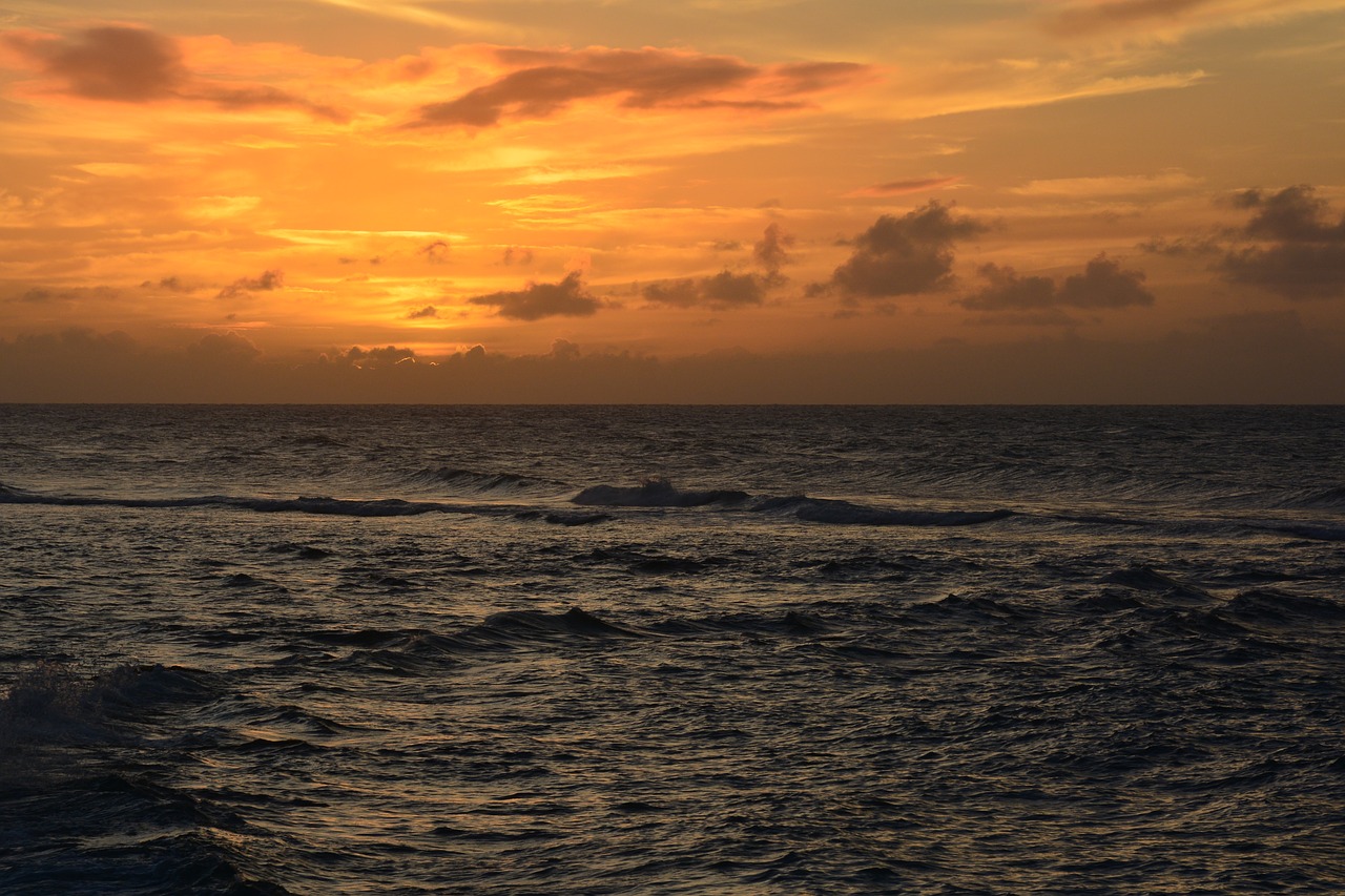 hawaii  sunset  summer free photo