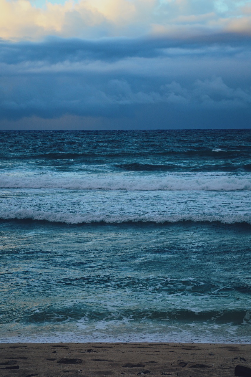 hawaii  beach  summer free photo