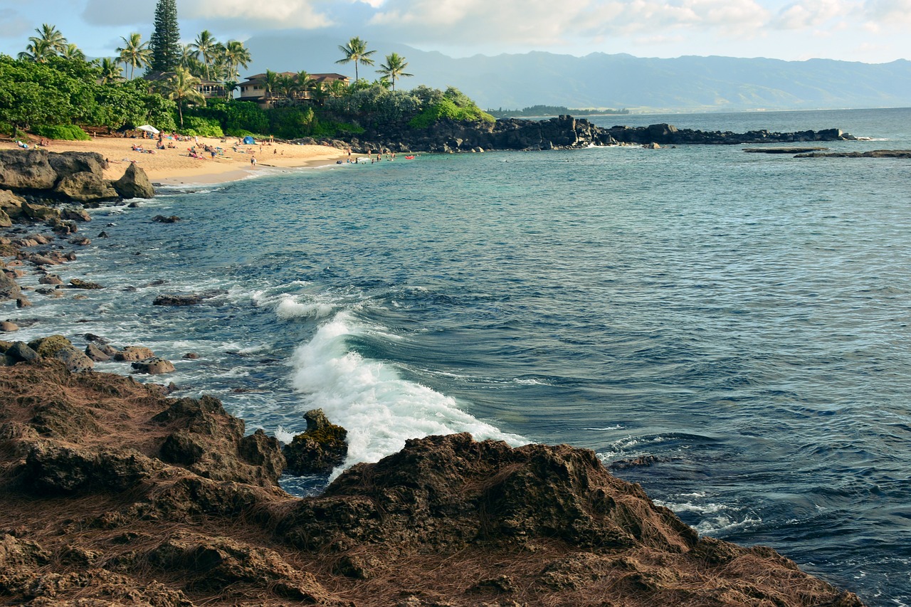 hawaii  oahu  beach free photo
