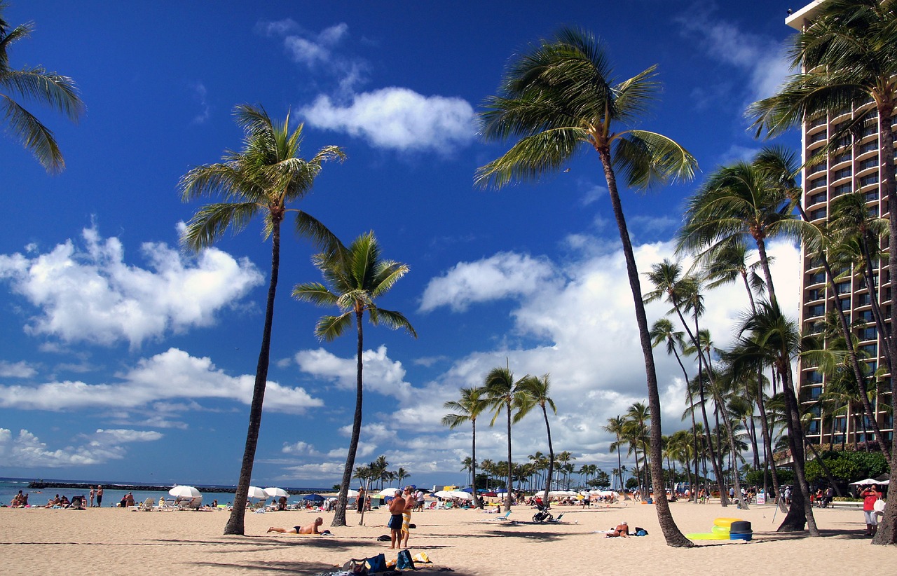 hawaii  honolulu  waikiki free photo