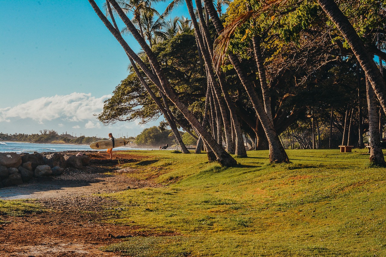 hawaii  maui  surf free photo