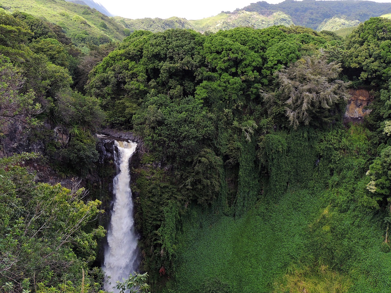 hawaii waterfall tropical free photo