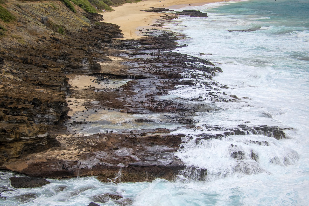 hawaii  beach  sea free photo