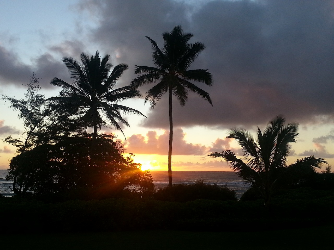 hawaii palm trees kauai sunrise free photo